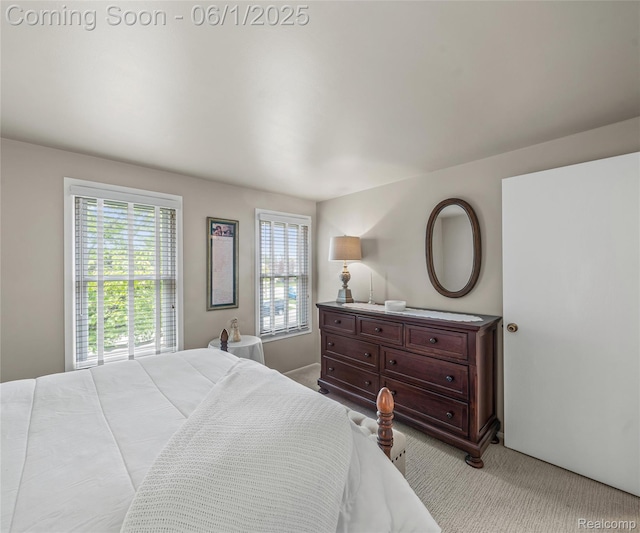 42736 Boulden Ct, Canton, MI 48187 - bedroom with carpet