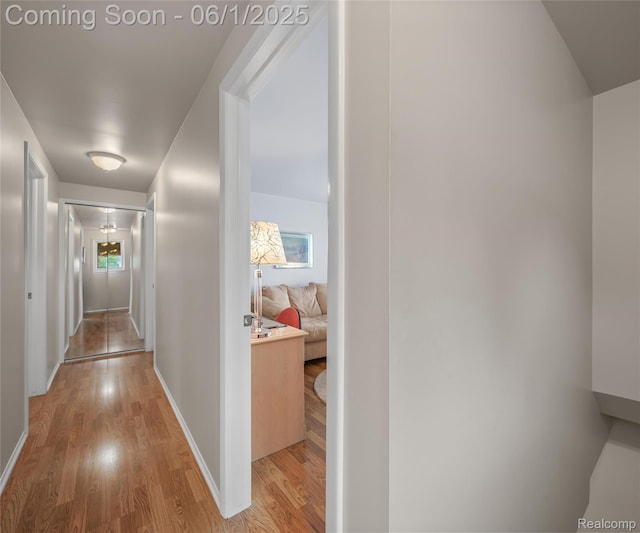 42736 Boulden Ct, Canton, MI 48187 - hallway with light wood finished floors and baseboards