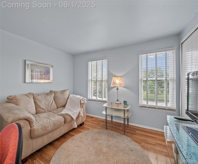 42736 Boulden Ct, Canton, MI 48187 - living room with baseboards and light wood-type flooring