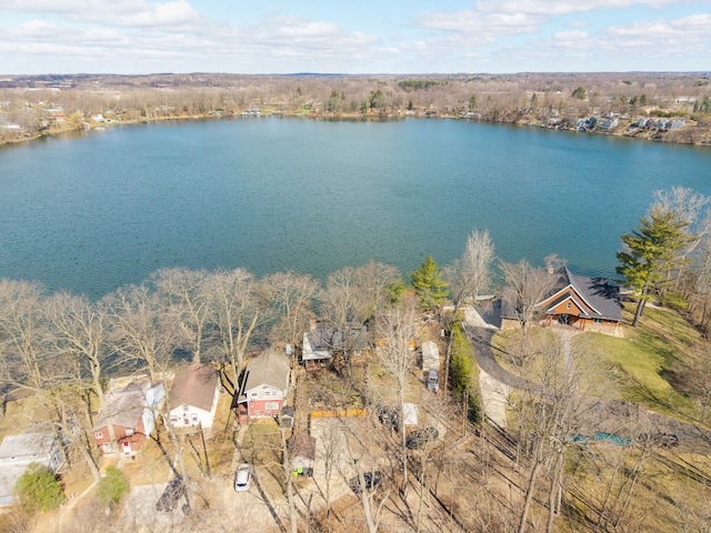 6340 Sporny Dr, Brighton, MI 48116 - aerial view of a nearby body of water