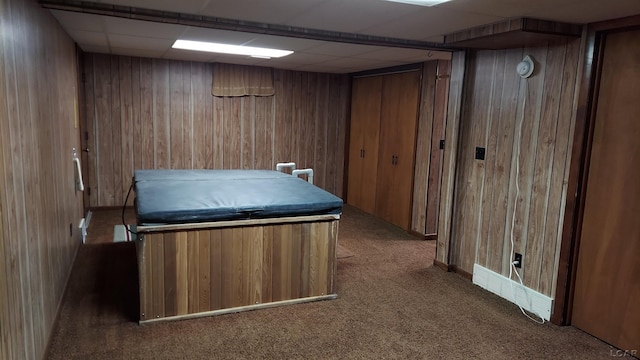 11800 N Adrian Hwy, Clinton, MI 49236 - miscellaneous room featuring carpet floors, wooden walls, and a paneled ceiling