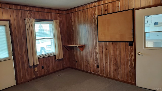 11800 N Adrian Hwy, Clinton, MI 49236 - empty room with wood walls, plenty of natural light, carpet flooring, and baseboards
