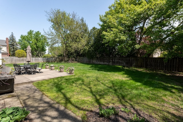 view of yard featuring a patio