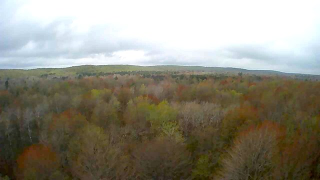 4610 Sanmott Trl NE, Kalkaska, MI 49646