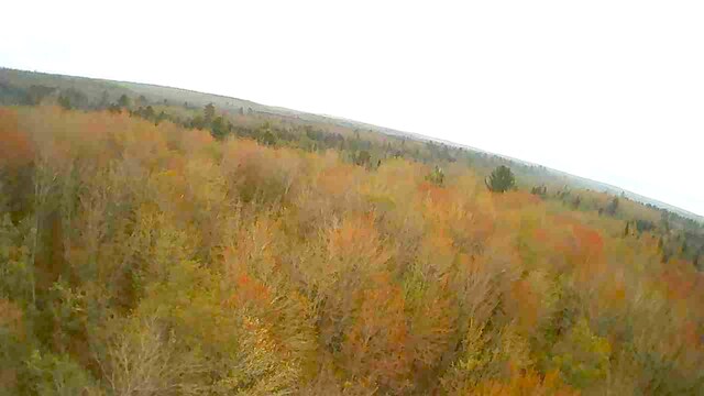4610 Sanmott Trl NE, Kalkaska, MI 49646