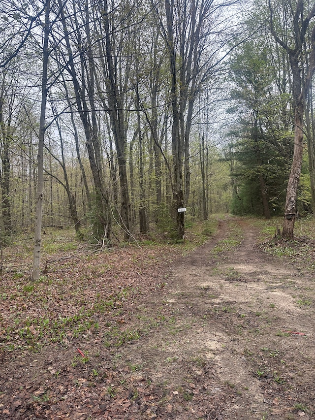 4610 Sanmott Trl NE, Kalkaska, MI 49646