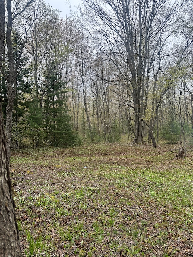 4610 Sanmott Trl NE, Kalkaska, MI 49646