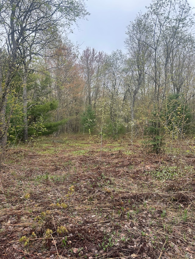 4610 Sanmott Trl NE, Kalkaska, MI 49646