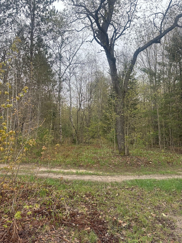 4610 Sanmott Trl NE, Kalkaska, MI 49646