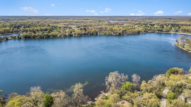 8440 Lance, Brighton, MI 48116 - aerial view of a heavily wooded area and a nearby body of water