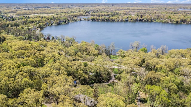 8440 Lance, Brighton, MI 48116 - bird's eye view of a forest and a nearby body of water