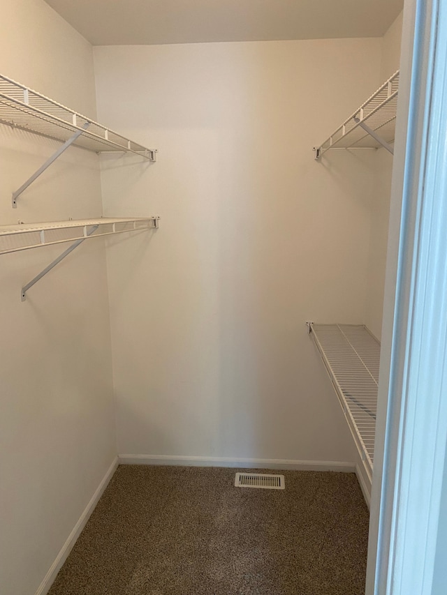 walk in closet featuring carpet flooring