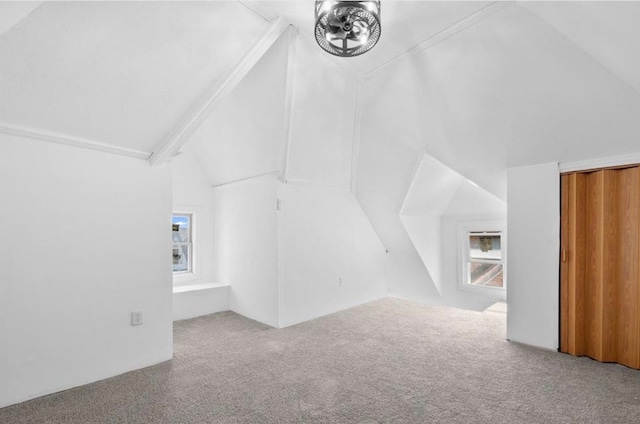 7305 Appoline St, Dearborn, MI 48126 - bonus room featuring carpet flooring, vaulted ceiling, and healthy amount of natural light