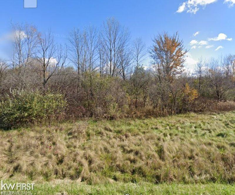 0 Van Vleet Rd, Swartz Creek, MI 48436