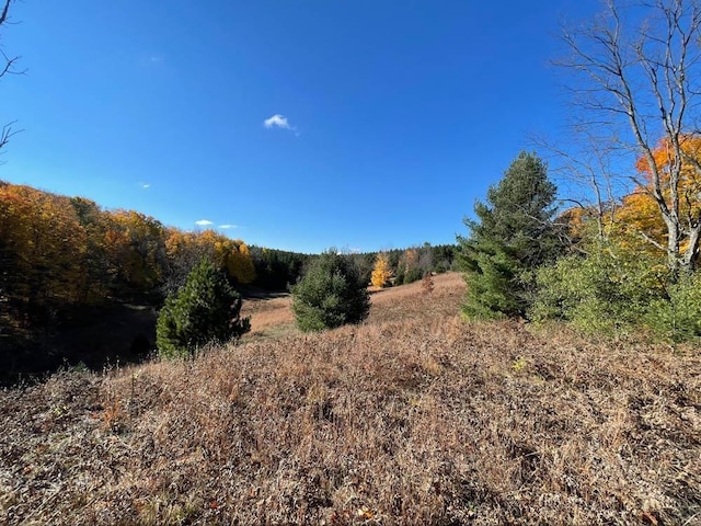 UNIT8 NW Dockery Rd NW, Williamsburg, MI 49690