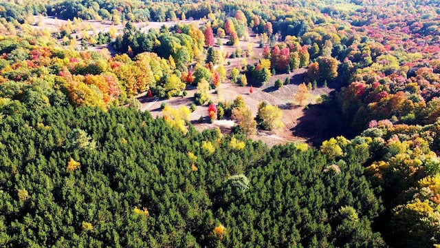 UNIT8 NW Dockery Rd NW, Williamsburg, MI 49690