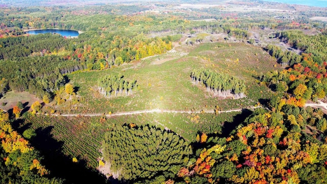 UNIT8 NW Dockery Rd NW, Williamsburg, MI 49690