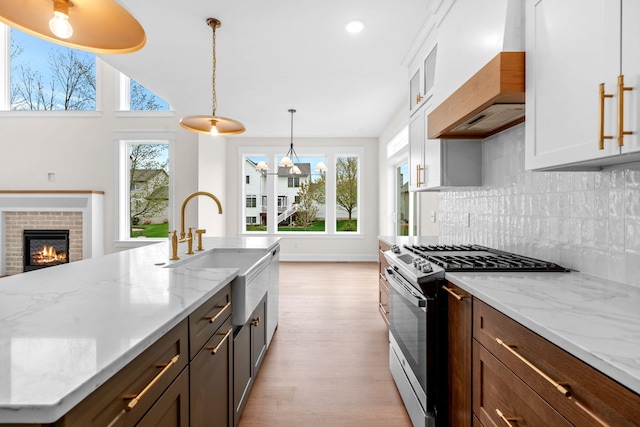 kitchen with stainless steel appliances, premium range hood, a sink, light wood finished floors, and tasteful backsplash