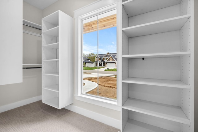 walk in closet featuring carpet floors