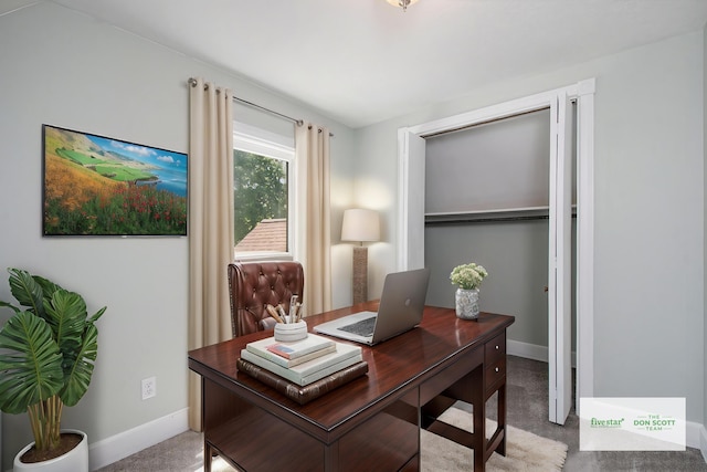 115 E Center St, Belding, MI 48809 - photo 10