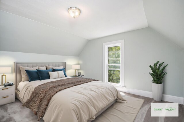 115 E Center St, Belding, MI 48809 - photo 8