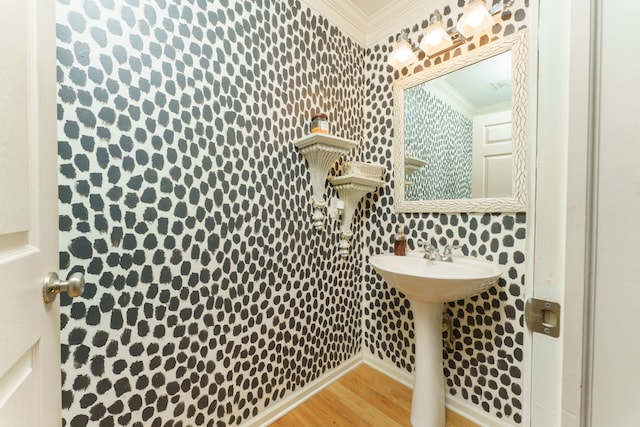 1418 Trailside Blvd, Wixom, MI 48393 - bathroom featuring crown molding, wood finished floors, and a sink