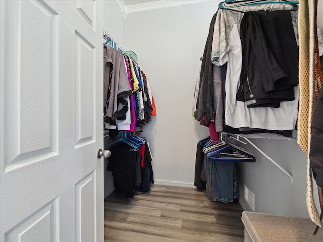 230 Atlantis Cir, Oxford, MI 48371 - spacious closet with light wood finished floors