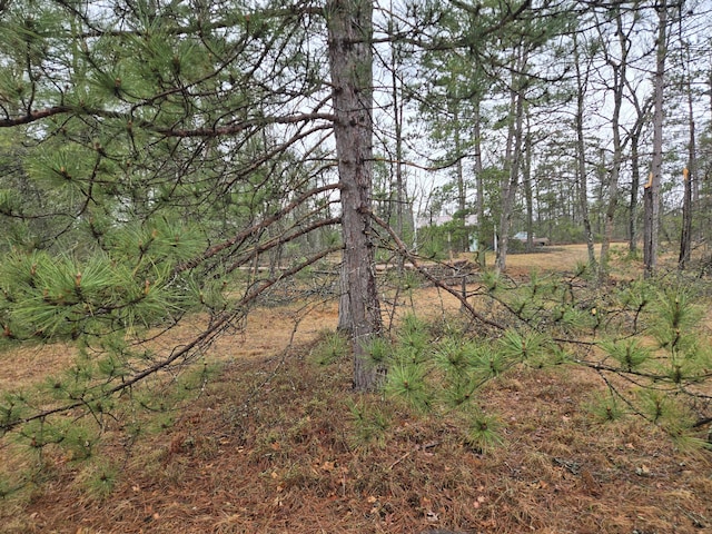 3774 S Stephan Bridge Rd, Grayling, MI 49738