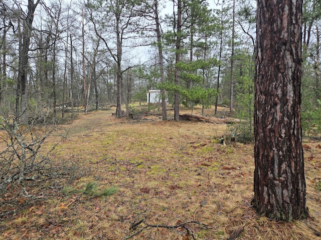 3774 S Stephan Bridge Rd, Grayling, MI 49738