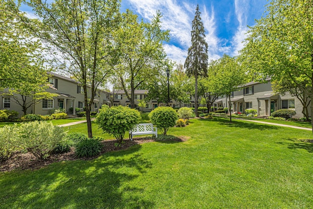 view of green lawn with a residential view