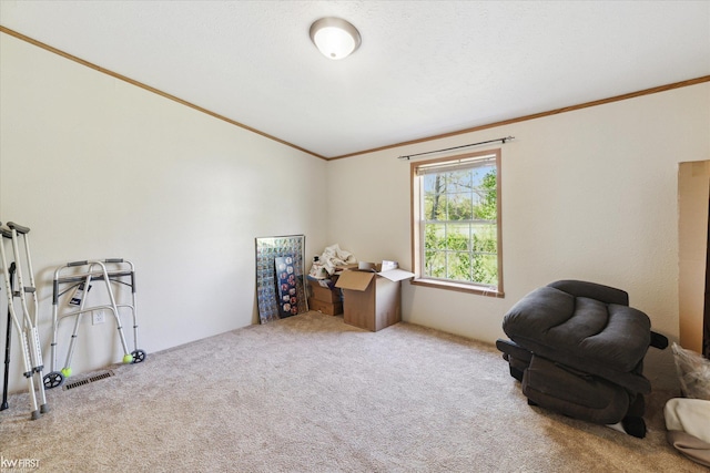 misc room with crown molding and carpet