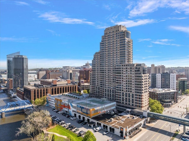 143 Campau Cir NW Unit 1616, Grand Rapids, MI 49503 - view of city
