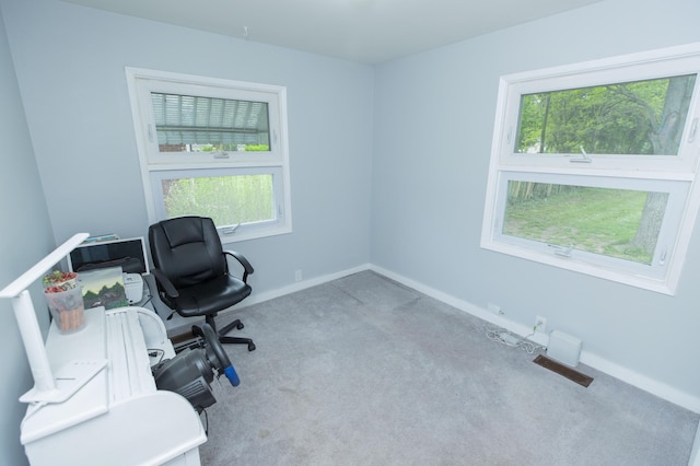 1609 Sheridan Ave, Niles, MI 49120 - unfurnished office featuring carpet flooring, healthy amount of natural light, and baseboards