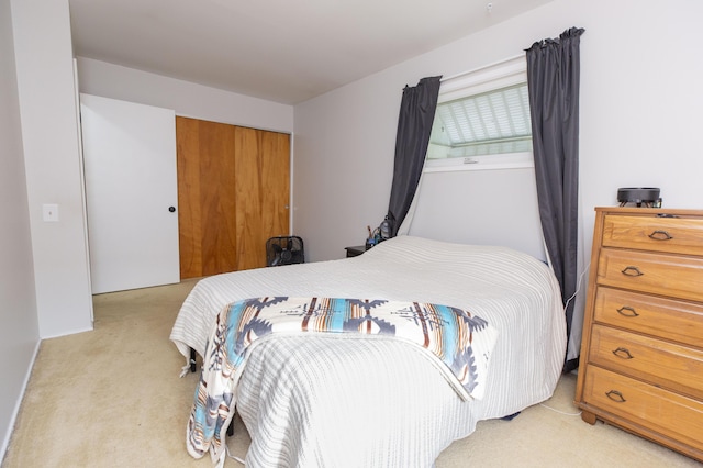 1609 Sheridan Ave, Niles, MI 49120 - bedroom featuring a closet and light carpet