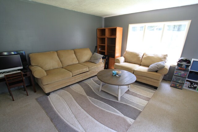 2157 Millville Rd, Lapeer, MI 48446 - photo 15