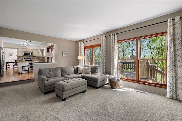 living area featuring carpet