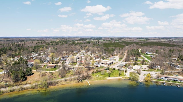 119 Maple St, Fife Lake, MI 49633 - aerial view of property's location with a forest and a large body of water