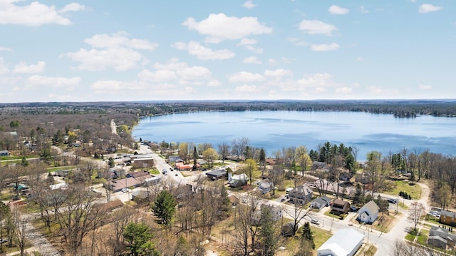 119 Maple St, Fife Lake, MI 49633 - aerial view of residential area with a nearby body of water