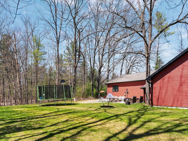 119 Maple St, Fife Lake, MI 49633 - view of grassy yard with a trampoline