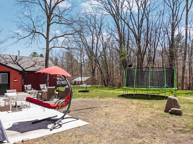 119 Maple St, Fife Lake, MI 49633 - view of grassy yard with a trampoline and a patio