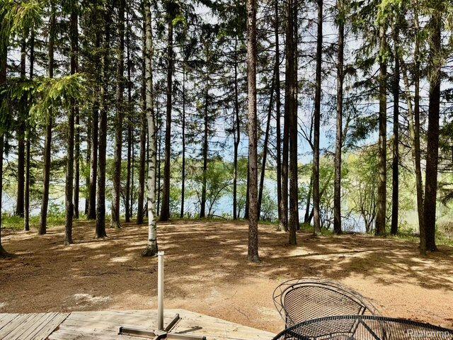 5793 Gark Rd, Attica, MI 48412 - view of yard