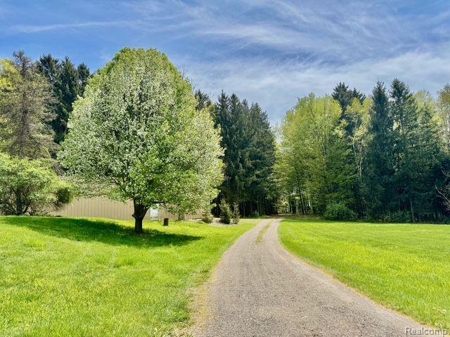 5793 Gark Rd, Attica, MI 48412 - view of road with a wooded view