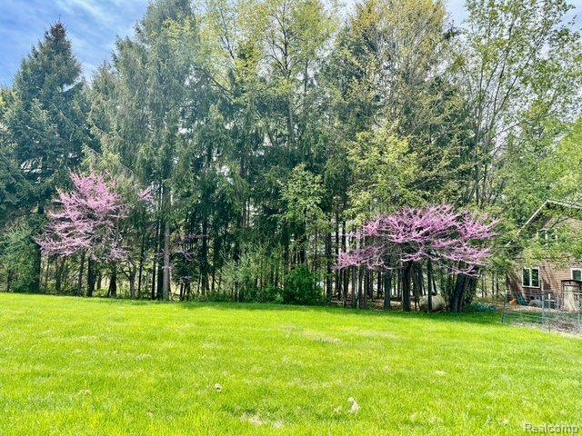 5793 Gark Rd, Attica, MI 48412 - view of green lawn