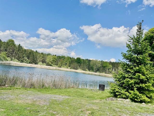 5793 Gark Rd, Attica, MI 48412 - water view featuring a forest