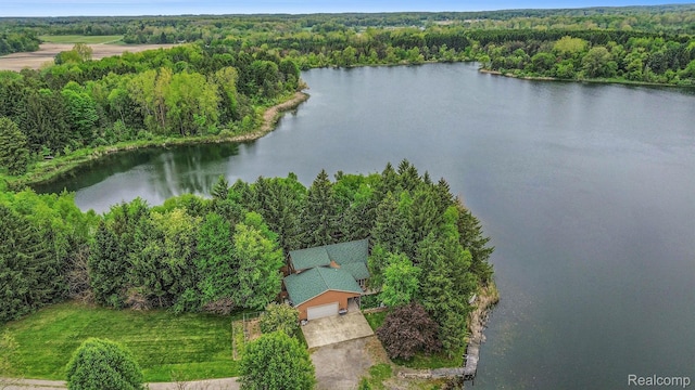 5793 Gark Rd, Attica, MI 48412 - view from above of property featuring a heavily wooded area and a large body of water