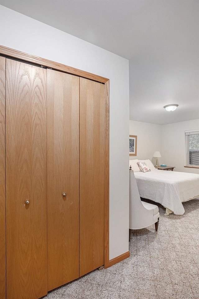 5793 Gark Rd, Attica, MI 48412 - bedroom with carpet flooring, baseboards, and a closet