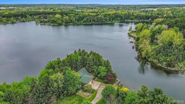 5793 Gark Rd, Attica, MI 48412 - aerial view of a forest and a large body of water