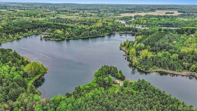 5793 Gark Rd, Attica, MI 48412 - view of property location with a heavily wooded area and a large body of water