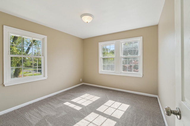 unfurnished room with plenty of natural light, carpet, and baseboards