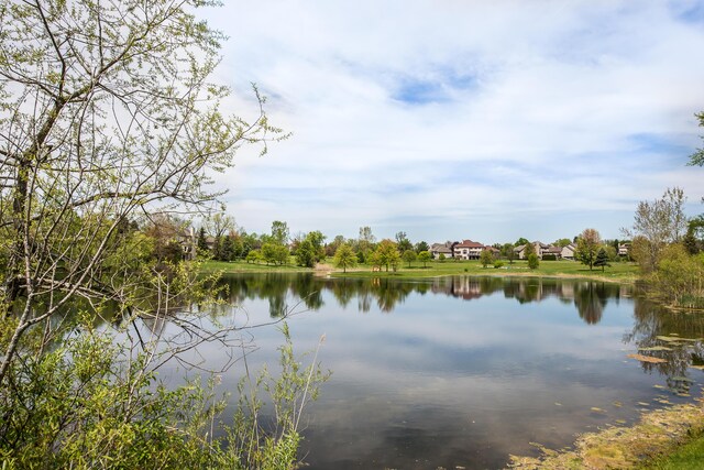 4364 Lake Forest Dr E, Ann Arbor, MI 48108 - photo 56